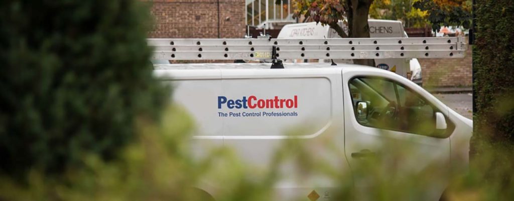 Pest Control Pirces 2020