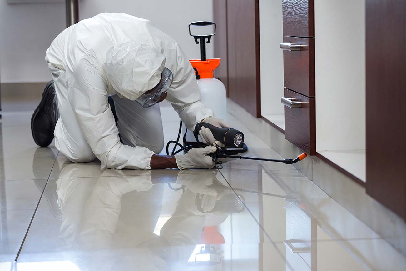 commercial pest control services