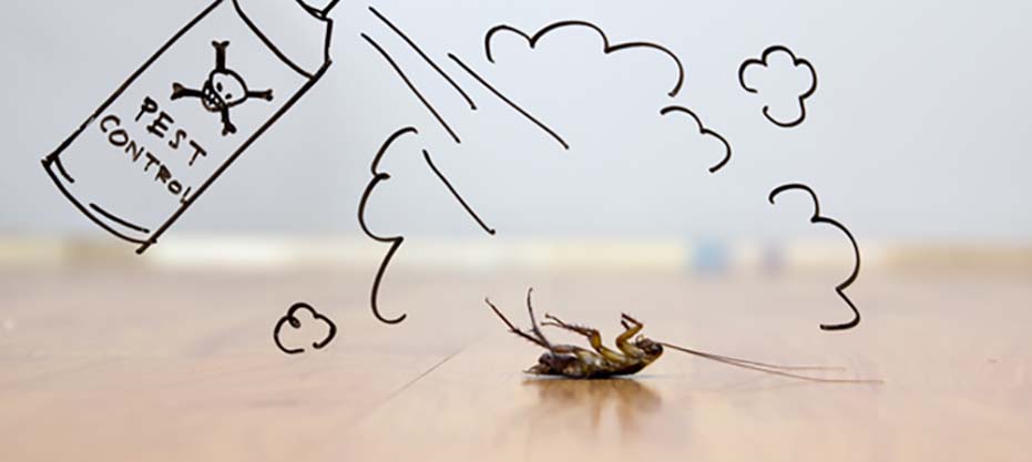 pest control services Royal Sutton Coldfield uk