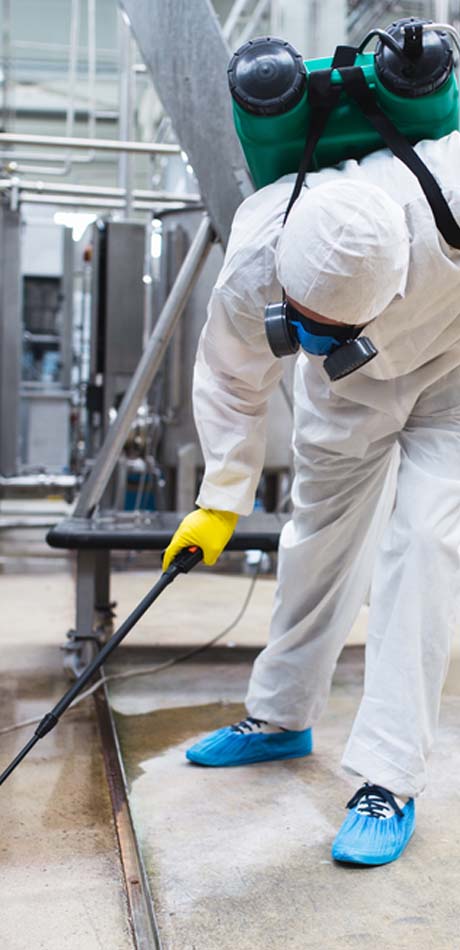 pest removal uk - Certified Pest Control in Oldwich Lane - Get a Quote